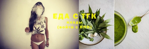мдпв Бородино