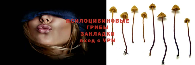шишки Богородск