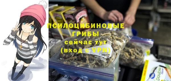 мдпв Бородино
